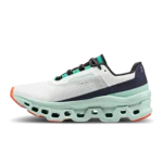 On Cloud Monster 1 Undyed White Creek Shoes